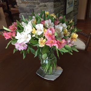 Meet your Posher, Anne